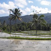 Photo de Bali - Banjar et Gitgit